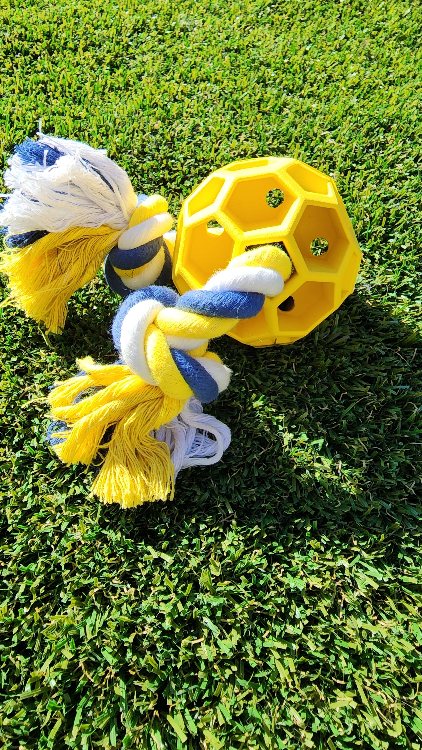Rubber Soccer Ball Chew Toy with Tug Rope -- Great for Active Dogs