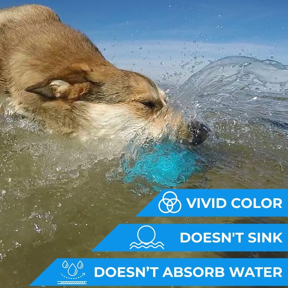 Dumbbell Dog Fetch Toy