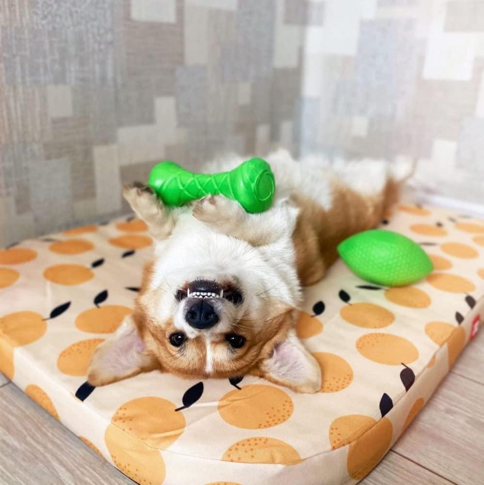 Green Dumbbell Dog Fetch Toy