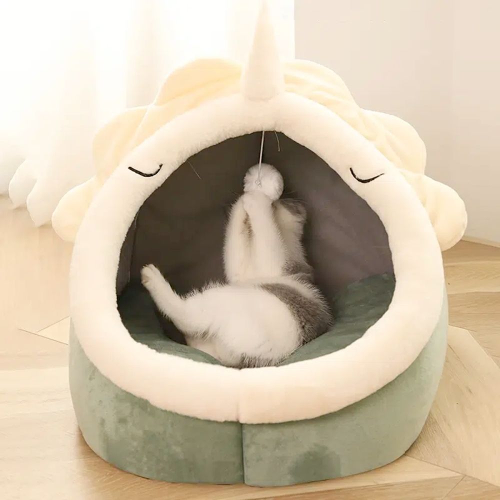 Adorable Dinosaur Cat House with Toy