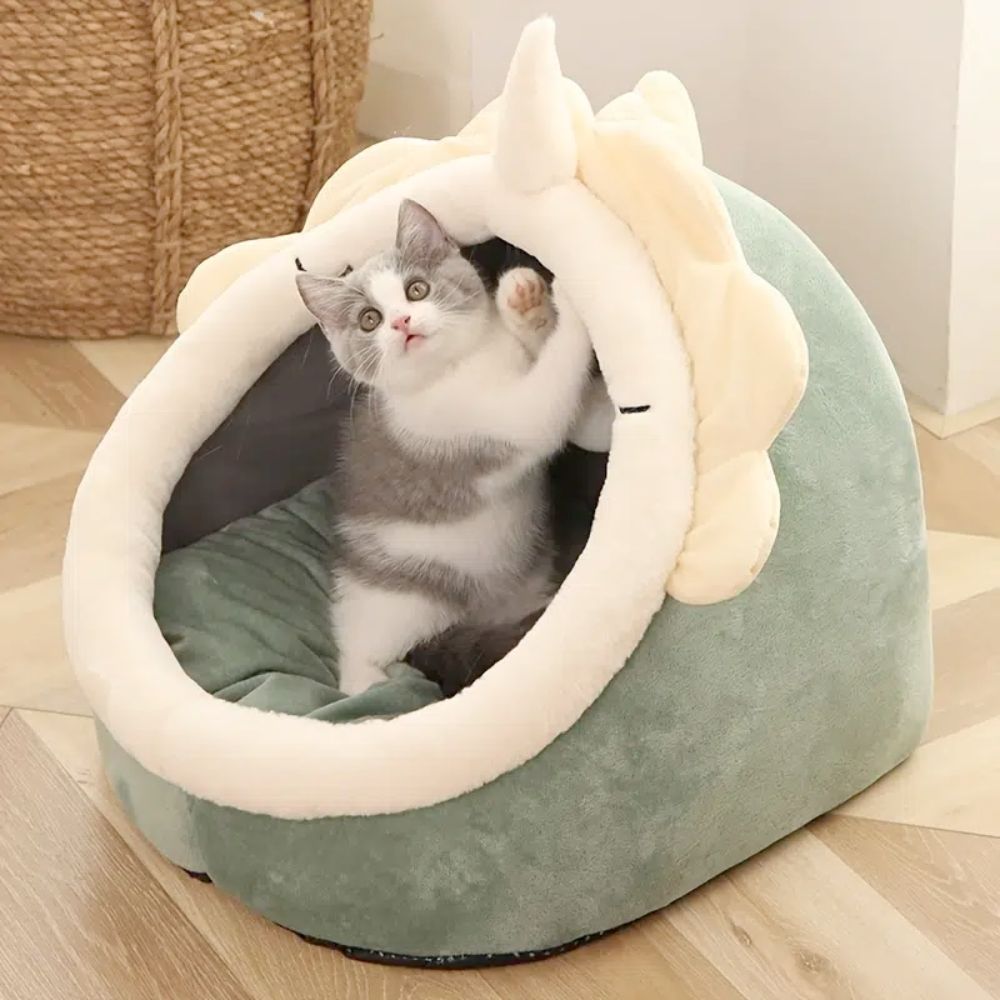 Adorable Dinosaur Cat House with Toy