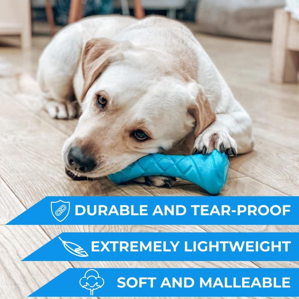 Dumbbell Dog Fetch Toy