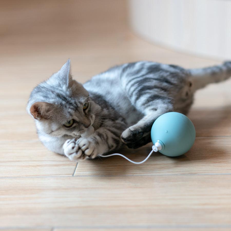 Interactive Whisker Wonder Electric Cat Toy