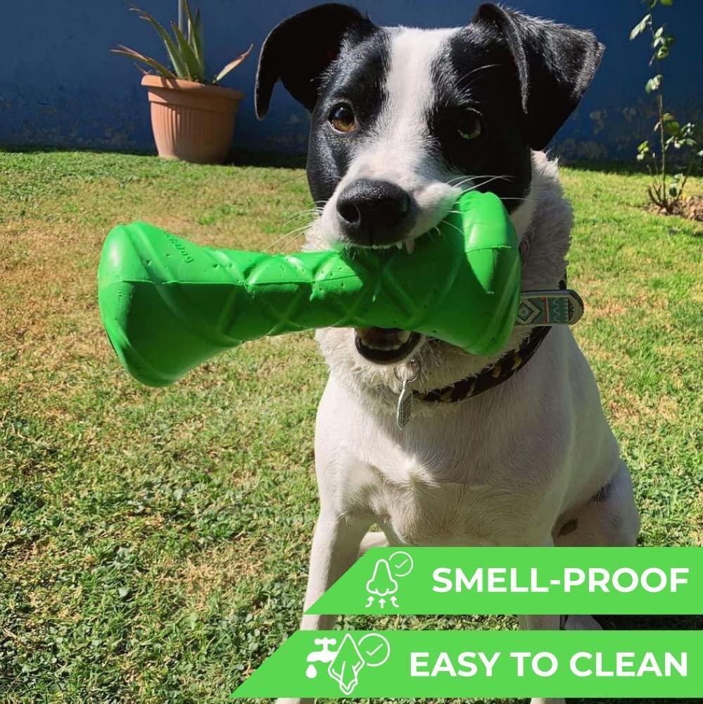 Green Dumbbell Dog Fetch Toy