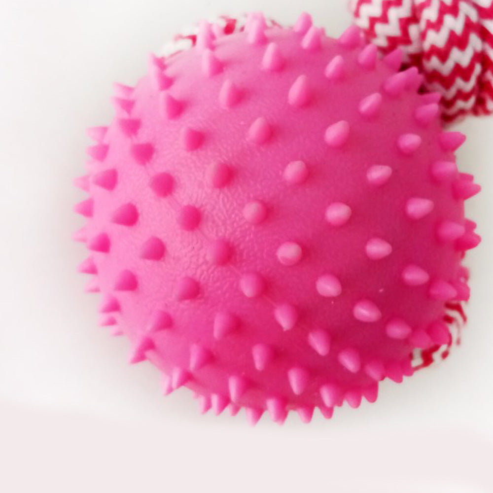 Rubber Chew Training Dog Toy