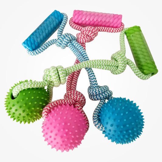 Rubber Chew Training Dog Toy