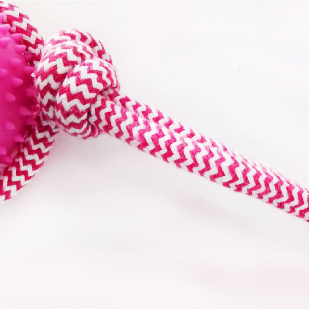 Rubber Chew Training Dog Toy